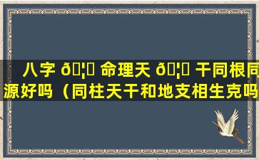 八字 🦁 命理天 🦟 干同根同源好吗（同柱天干和地支相生克吗）